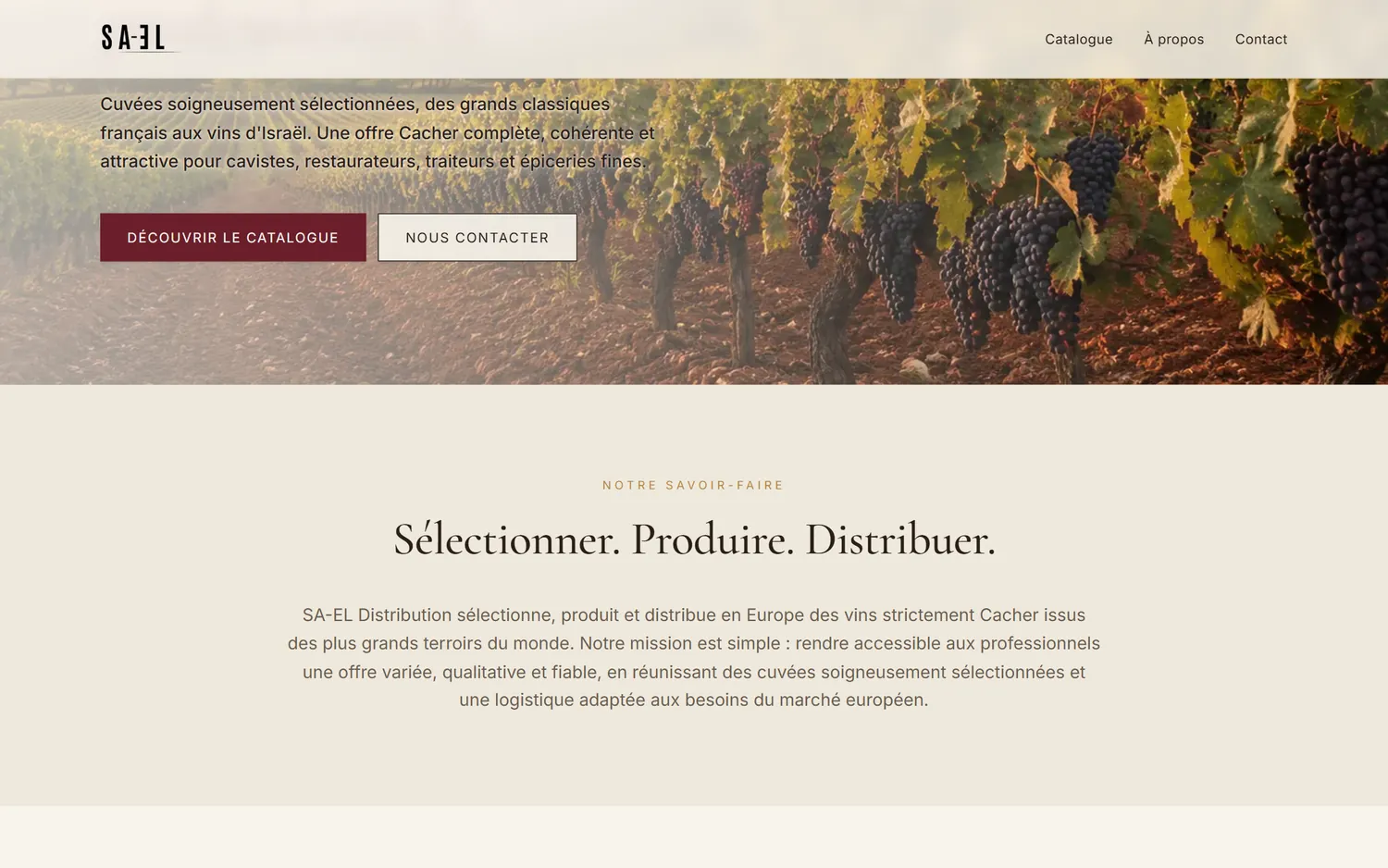 SA-EL Distribution — aperçu du projet